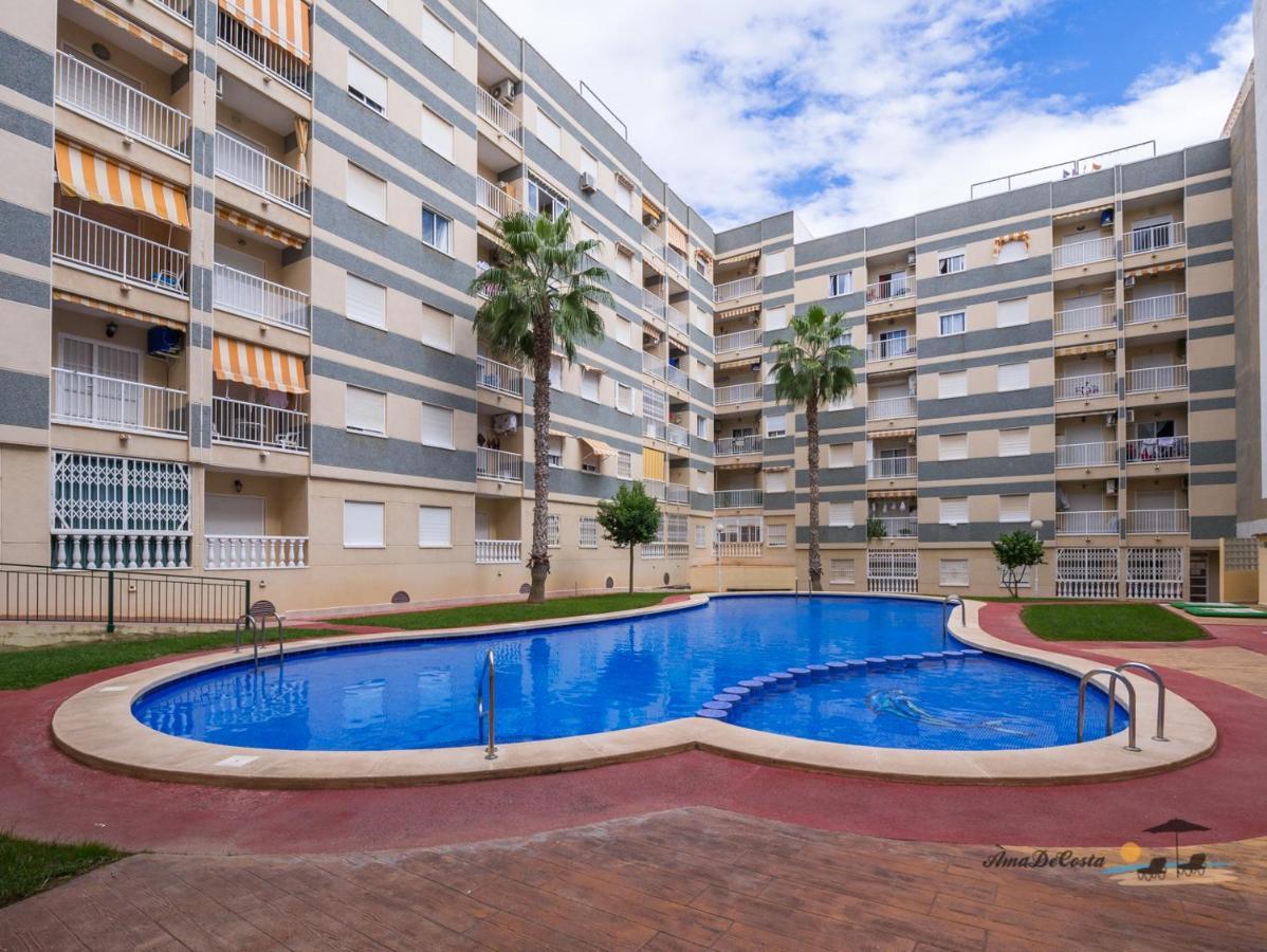 Marinero - El Edificio Navila Xx - * Torrevieja